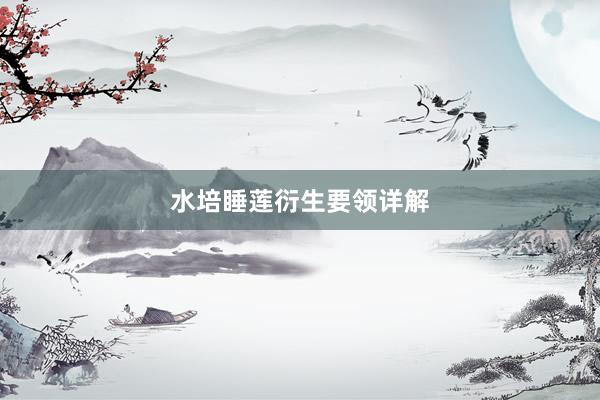 水培睡莲衍生要领详解
